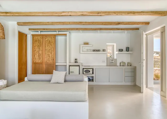 Lil Paros Luxury Villa *